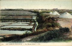 CPA Folklore Marais salants Les Sables d'Olonne