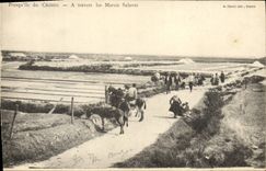 CPA Folklore Marais salants Presqu'ile du Croisic Ane Mule