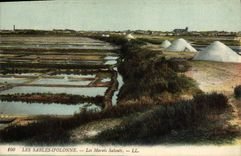 CPA Folklore Marais salants Les Sables d'Olonne