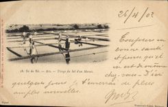 CPA Folklore Marais salants Ile de Re Ars Tirage du sel d'un marais