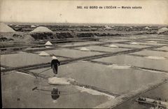 VINTAGE POSTCARD Folklore salt-water Marshes At the edge of the ocean