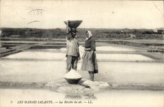 VINTAGE POSTCARD Folklore salt-water Marshes the harvest of salt