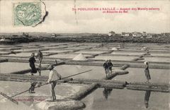 VINTAGE POSTCARD Folklore salt-water Marshes De Pouliguen has Saille Harvest of salt