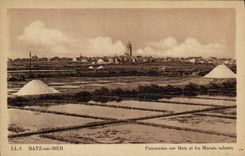 VINTAGE POSTCARD Folklore salt-water Marshes Batz on Sea Panorama on Batz and salt-water marshes