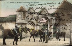 VINTAGE POSTCARD Folklore With the Norman country Departure for the ploughing Horses