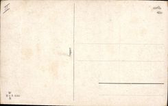 VINTAGE POSTCARD Bison