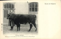 CPA Vache Vaches Ecole de Grignon Genisse Durham offerte par SM Edouard VII au President de la Republique