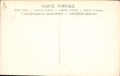 Decoración de la medalla de la POSTAL de la VENDIMIA de la bandera a las tropas francesas Militaria