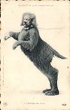 VINTAGE POSTCARD Theater Edmond Rostand Coquelin Payou