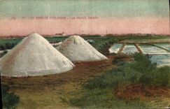 CPA Folklore Marais Salants Les Sables d'Olonne