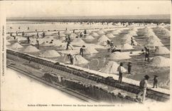 VINTAGE POSTCARD Folklore Saline Saline Marshes of Hyeres Beaters making the sheaves in the cristalisoires