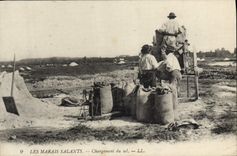 VINTAGE POSTCARD Folklore Salt-water Marshes Loading of salt