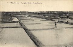 VINTAGE POSTCARD Batz Folklore View of the Salt-water Marshes