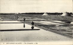 CPA Folklore Marais Salants Vue d'ensemble