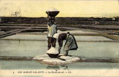 CPA Folklore Marais Salants La recolte du sel