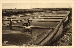 VINTAGE POSTCARD Folklore Salt-water Marshes Island of Noirnoutier