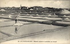 CPA Folklore Marais Salants et paludiers au travail Le Pouliguen