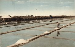 VINTAGE POSTCARD Folklore Salt-water Marshes Island of Noirnmoutier
