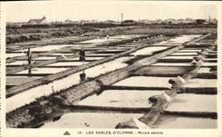 CPA Folklore Marais Salants Les Sables d'Olonne