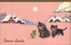 CPA Chat Chaton Chats 