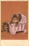 CPA Chat Chaton Chats 