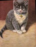 CPA Chat Chaton Chats 