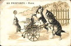 CPA Chat Chaton Chats Au Printemps Paris