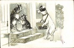 CPA Chat Chaton Chats Chien