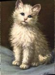 CPA Chat Chaton Chats 