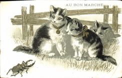 VINTAGE POSTCARD Cat Kitten Cats Insect With the Good market House Boucicaut Paris