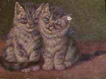 CPA Chat Chaton Chats 