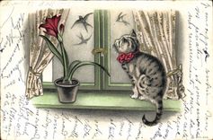 CPA Chat Chaton Chats 