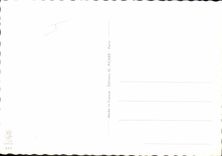 MODERN CARD Cat Kitten Cats