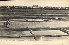 CPA Folklore Marais salants Les Sables d'Olonne