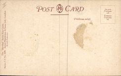 Pájaro bonito del loro de Polly de la mujer del ilustrador de la fantasía de la POSTAL de la VENDIMIA