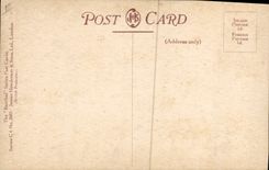 Pájaro bonito de Polly del loro de la mujer del ilustrador de la fantasía de la POSTAL de la VENDIMIA