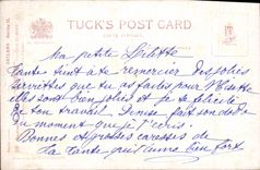 CPA Chat Chats Chaton 