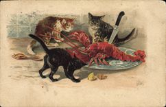 CPA Chat Chats Chaton Homard
