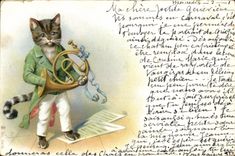 CPA Chat Chats Chaton 