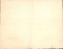 VINTAGE POSTCARD Cat Cats Kitten (out of baize)