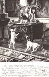 VINTAGE POSTCARD Cat Cats Kitten Dog Dogs EM Samson Irruption
