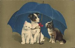 VINTAGE POSTCARD Cat Cats Kitten Dog Umbrella