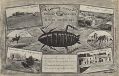 VINTAGE POSTCARD Militaria Kingdom of the Southern Cockroach Extreme Tunisian Tunisia
