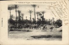 VINTAGE POSTCARD Militaria the artillery through the Moroccan palm plantations