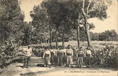 VINTAGE POSTCARD Militaria Orleansville Riflemen with the Seedbed