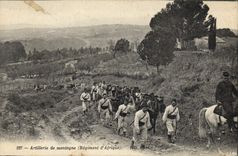CPA Militaria Artillerie de montagne Regiment d'Afrique 