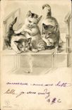 CPA Chat Chats Chaton 