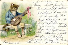 CPA Chat Chats Chaton 