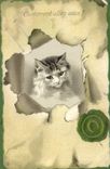 CPA Chat Chats Chaton Comment allez vous ?