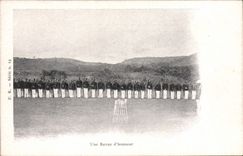 CPA Militaria Une revue d'honneur 